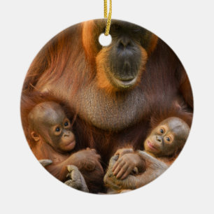 Orangutan Mutter, die zwei Säuglinge hält Keramik Ornament