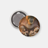 Orangutan Mutter, die zwei Säuglinge hält Magnet (Vorderseite/Rückseite)
