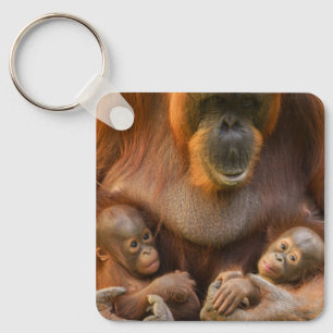 Orangutan Mutter, die zwei Säuglinge hält Schlüsselanhänger