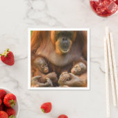 Orangutan Mutter, die zwei Säuglinge hält Serviette (Beispiel)