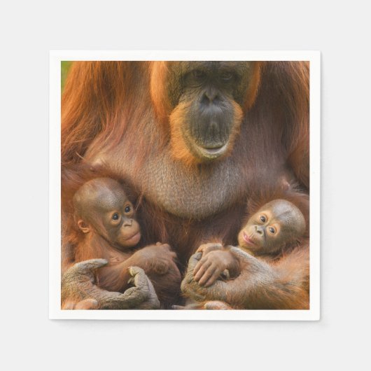 Orangutan Mutter, die zwei Säuglinge hält Serviette (Vorderseite)