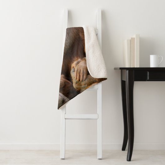 Orangutan Mutter, die zwei Säuglinge hält Sherpadecke (Beispiel)