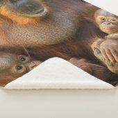 Orangutan Mutter, die zwei Säuglinge hält Sherpadecke (3/4)