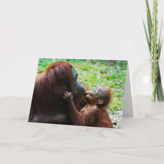 Orangutan Mutter mit Baby Karte (Vorderseite)