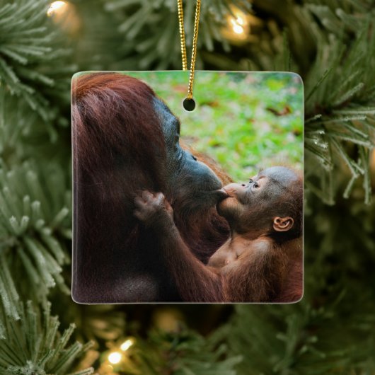 Orangutan Mutter mit Baby Keramikornament (Baum)