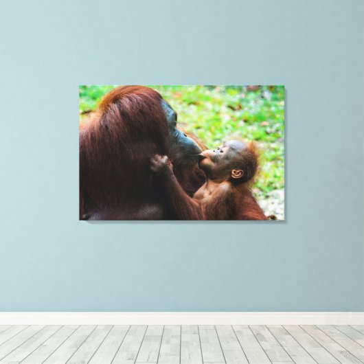 Orangutan Mutter mit Baby Leinwanddruck (Insitu (Holzboden))