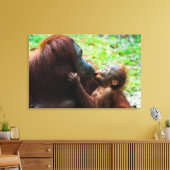 Orangutan Mutter mit Baby Leinwanddruck (Insitu (Wohnzimmer))