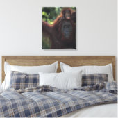 Orangutan Mutter mit Baby Leinwanddruck (Insitu (Schlafzimmer))