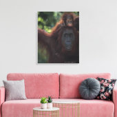Orangutan Mutter mit Baby Leinwanddruck (Insitu (Wohnzimmer))