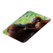 Orangutan Mutter mit Baby Magnet (Linke Seite)
