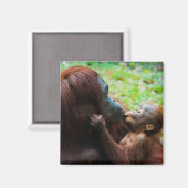 Orangutan Mutter mit Baby Magnet (Vorderseite/Rückseite)
