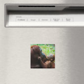 Orangutan Mutter mit Baby Magnet (In Situ (Geschirrspüler))