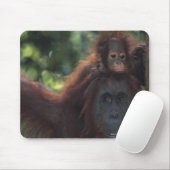 Orangutan Mutter mit Baby Mousepad (Mit Mouse)