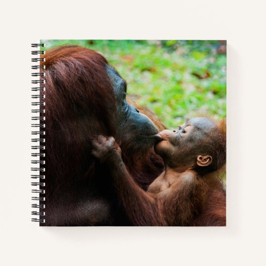Orangutan Mutter mit Baby Notizblock (Vorderseite)