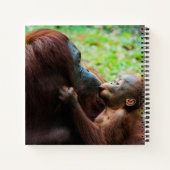Orangutan Mutter mit Baby Notizblock (Rückseite)