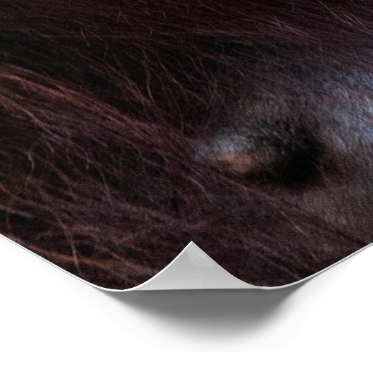 Orangutan Mutter mit Baby Poster (Ecke)