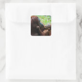 Orangutan Mutter mit Baby Quadratischer Aufkleber (Tasche)