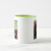 Orangutan Mutter mit Baby Tasse (Zentrum)