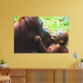 Orangutan Mutter und Kind Leinwanddruck (Insitu (Wohnzimmer))
