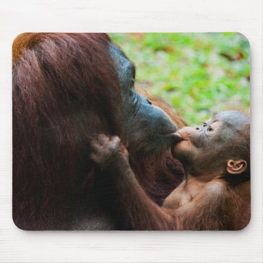 Orangutan Mutter und Kind Mousepad (Vorne)
