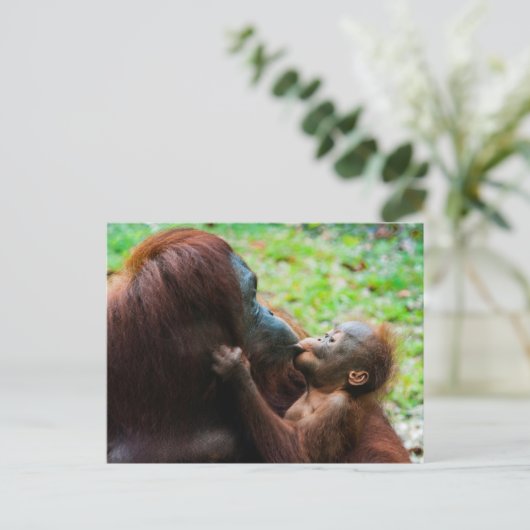 Orangutan Mutter und Kind Postkarte (Stehend Vorderseite)