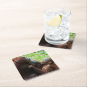 Orangutan Mutter und Kind Rechteckiger Pappuntersetzer (Vor Ort)