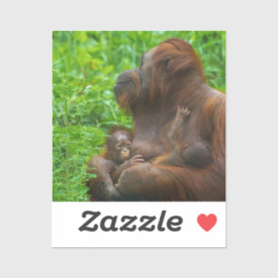 Orangutan Mutter und Säuglinge Aufkleber