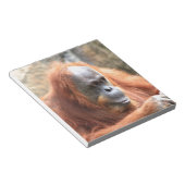 Orangutan Notizblock (angewinkelt)