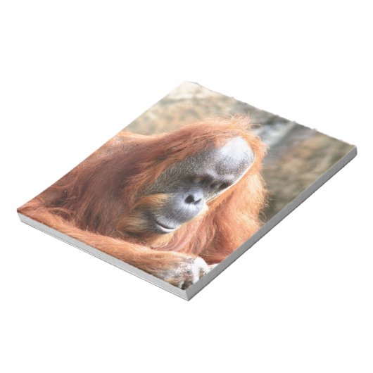 Orangutan Notizblock (Rotiert)