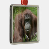 Orangutan Ornament Aus Metall (Rechts)
