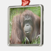 Orangutan Ornament Aus Metall (Links)