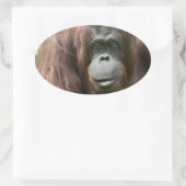 Orangutan Ovaler Aufkleber (Tasche)