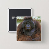 Orangutan Pongo Pygmaeus Button (Vorne & Hinten)