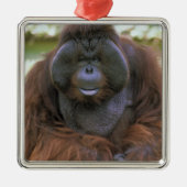 Orangutan Pongo Pygmaeus Silbernes Ornament (Vorne)