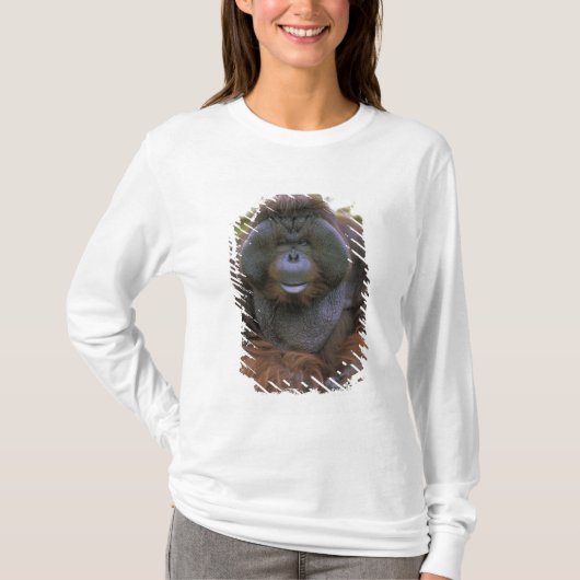 Orangutan Pongo Pygmaeus T-Shirt (Vorderseite)