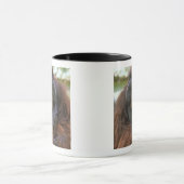 Orangutan Pongo Pygmaeus Tasse (Zentrum)