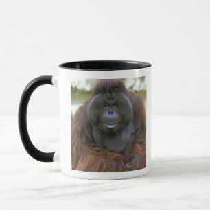 Orangutan Pongo Pygmaeus Tasse
