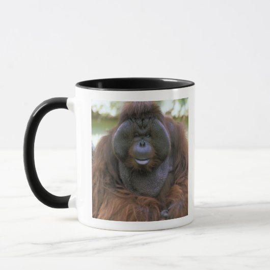 Orangutan Pongo Pygmaeus Tasse (Links)