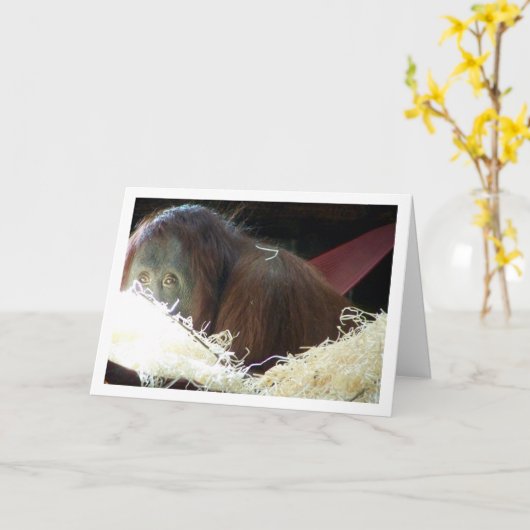 Orangutan Portrait Karte (Gelbe Blume)