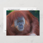 Orangutan Postcard Postkarte (Vorne/Hinten)