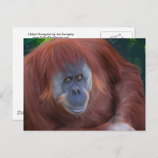 Orangutan Postcard Postkarte (Vorne/Hinten)