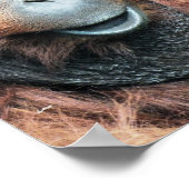 ORANGUTAN POSTER (Ecke)