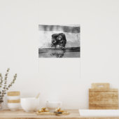 Orangutan Poster (Küche)