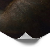 Orangutan Poster (Ecke)