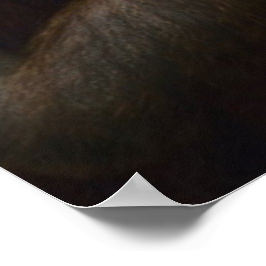 Orangutan Poster (Ecke)