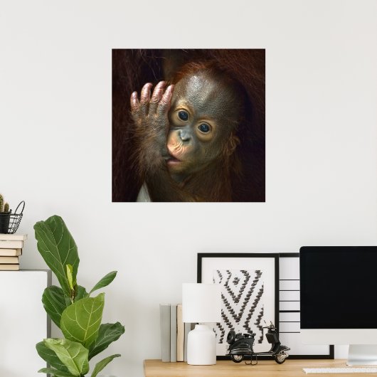 Orangutan Poster (Heimbüro)