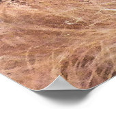 ORANGUTAN POSTER (Ecke)