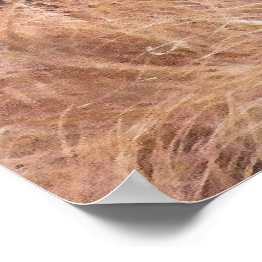 ORANGUTAN POSTER (Ecke)