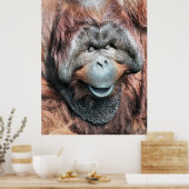 ORANGUTAN POSTER (Küche)