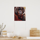Orangutan Poster (Küche)
